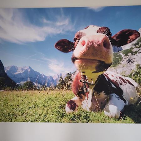 Zuhause In Hofs ,Leutkirch Im Allgaeu Dış mekan fotoğraf